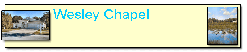 Wesley Chapel Banner   zemetres.com